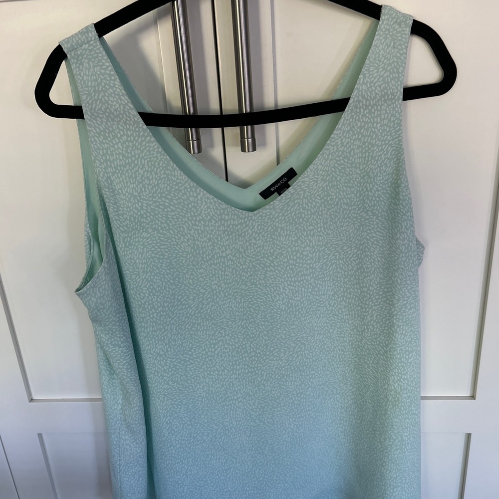 COPY - RW&Co xl beautiful mint green and white tank top
